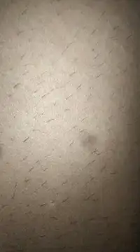 Snapshot of rohitlov150 chatting on March 11, 2025, 12:50 pm rohitlov150 online show from March 11, 2025, 12:50 pm