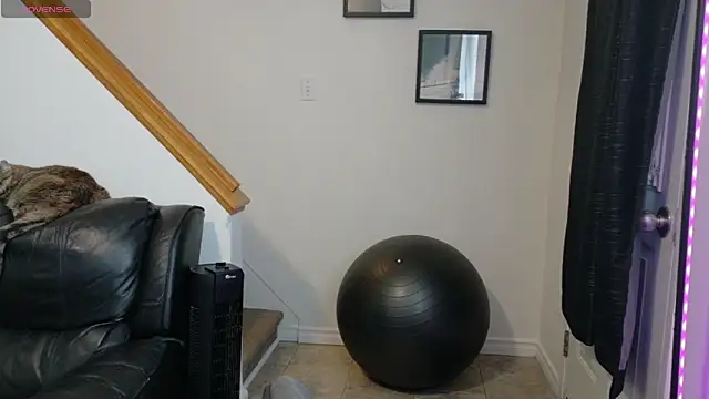 Snapshot of Thekodyy chatting on November 12, 2025, 1:59 pm Thekodyy online show from November 12, 2025, 1:59 pm