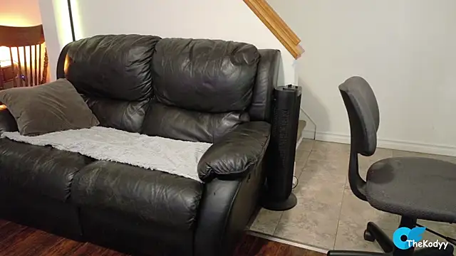 Snapshot of Thekodyy chatting on March 4, 2026, 12:46 pm Thekodyy online show from March 4, 2026, 12:46 pm