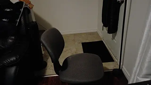 Snapshot of Thekodyy chatting on December 4, 2025, 12:53 am Thekodyy online show from December 4, 2025, 12:53 am