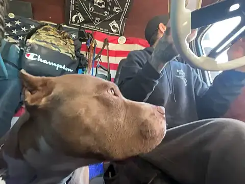 Snapshot of XMeF10 chatting on November 23, 2025, 3:22 pm XMeF10 online show from November 23, 2025, 3:22 pm