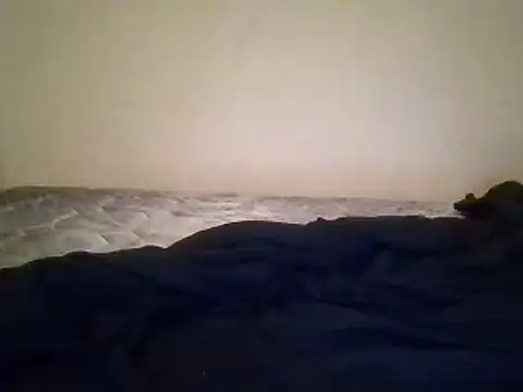 Snapshot of lisa_larry88 chatting on February 4, 2025, 3:22 am lisa larry88 online show from February 4, 2025, 3:22 am