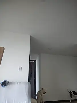 911Calling online show from February 4, 2025, 9:41 pm