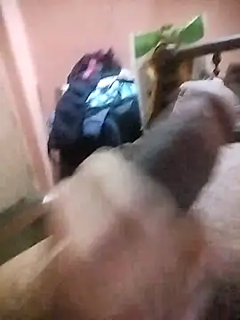 Snapshot of tamil_horny09 chatting on December 20, 2025, 11:13 am tamil horny09 online show from December 20, 2025, 11:13 am