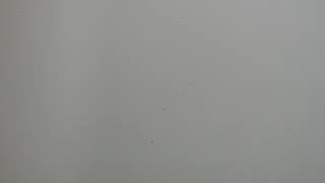 Snapshot of sussy_leon chatting on March 18, 2025, 12:28 pm sussy leon online show from March 18, 2025, 12:28 pm