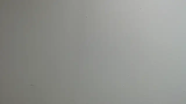 Snapshot of sussy_leon chatting on March 13, 2025, 12:24 pm sussy leon online show from March 13, 2025, 12:24 pm