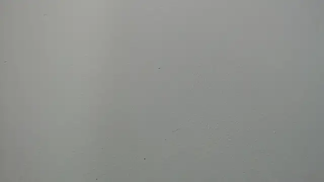 Snapshot of sussy_leon chatting on March 14, 2025, 1:02 pm sussy leon online show from March 14, 2025, 1:02 pm