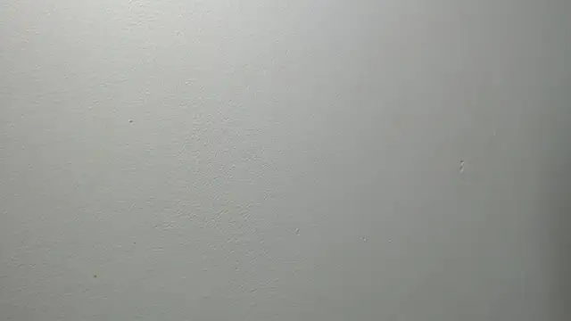 Snapshot of sussy_leon chatting on February 27, 2025, 12:34 pm sussy leon online show from February 27, 2025, 12:34 pm