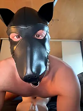 Snapshot of PlayDog123 chatting on November 4, 2025, 3:16 pm PlayDog123 online show from November 4, 2025, 3:16 pm