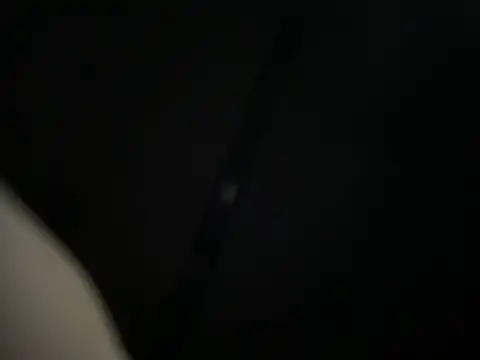 Redfurr69 online show from December 6, 2024, 9:15 am