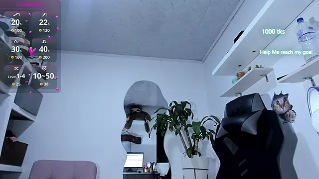 emily palmeer online show from October 6, 2025, 10:27 am