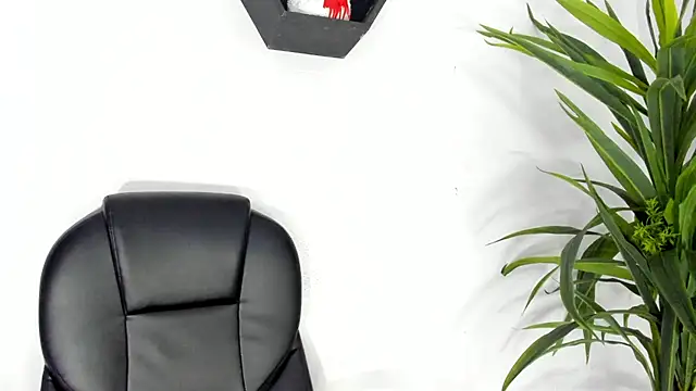 Medusa velvet online show from December 11, 2024, 11:00 pm