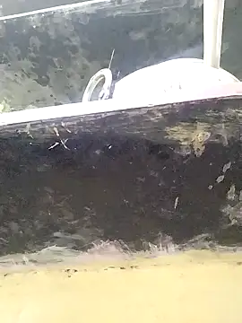 heartless  95 online show from September 26, 2025, 2:51 am