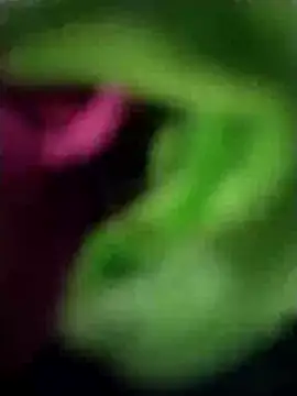 heartless  95 online show from March 23, 2025, 6:47 am