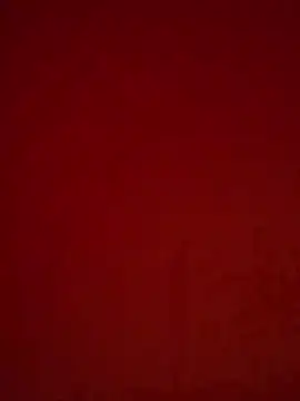 girldam95 online show from February 20, 2026, 6:19 am