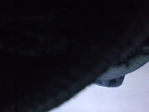 Snapshot of exmilitary chatting on February 15, 2026, 12:59 pm exmilitary online show from February 15, 2026, 12:59 pm