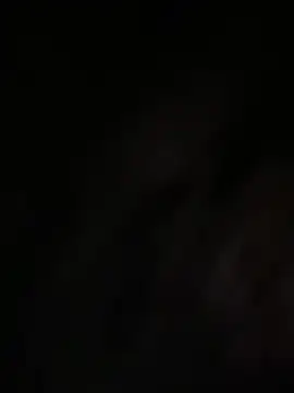 Xixi-Gala online show from December 22, 2024, 8:27 am