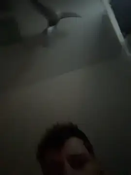 janberlin online show from February 25, 2026, 8:03 am