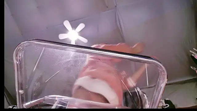 Snapshot of Im_IVE_LOVE chatting on December 14, 2024, 5:29 am Im IVE LOVE online show from December 14, 2024, 5:29 am