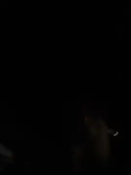 tipico0799 online show from March 2, 2025, 1:37 am