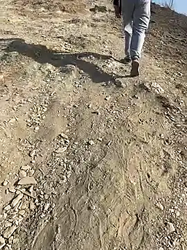 geroAguilar online show from February 28, 2026, 12:49 pm