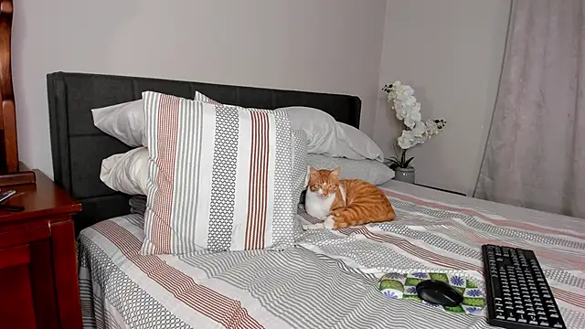 Snapshot of Angel_1997 chatting on February 18, 2025, 11:30 pm Angel 1997 online show from February 18, 2025, 11:30 pm