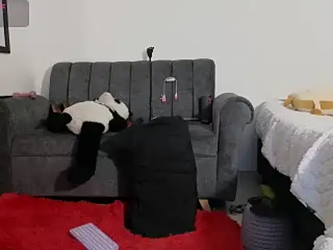 Snapshot of Katt_BDSM chatting on February 13, 2025, 3:14 pm Katt BDSM online show from February 13, 2025, 3:14 pm