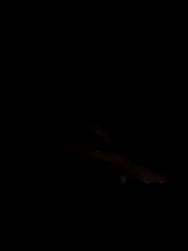 Snapshot of PEACHY439 chatting on November 13, 2025, 5:11 am PEACHY439 online show from November 13, 2025, 5:11 am