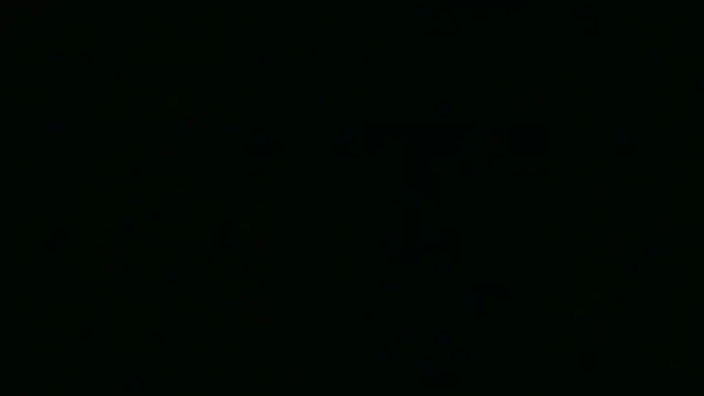 Snapshot of Garima_G chatting on April 7, 2026, 2:08 pm Garima G online show from April 7, 2026, 2:08 pm