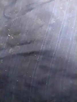 jellydicks online show from March 10, 2026, 12:42 pm