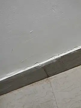 Tamilrojanew online show from March 7, 2026, 5:03 am