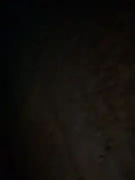 tripexnte online show from February 20, 2025, 6:39 am