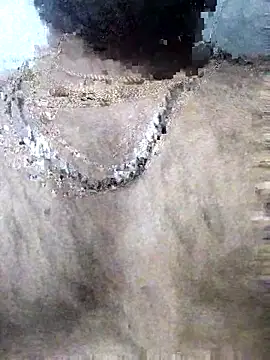 Snapshot of sinsbbi9 chatting on November 13, 2025, 11:14 am sinsbbi9 online show from November 13, 2025, 11:14 am