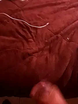 Snapshot of pedritolobito chatting on December 17, 2024, 4:11 pm pedritolobito online show from December 17, 2024, 4:11 pm