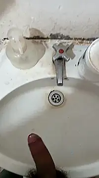 Snapshot of pedritolobito chatting on February 27, 2025, 11:50 am pedritolobito online show from February 27, 2025, 11:50 am