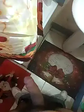 Snapshot of pedritolobito chatting on December 26, 2024, 4:25 pm pedritolobito online show from December 26, 2024, 4:25 pm