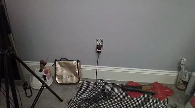 Snapshot of BluEyeGemini333 chatting on December 26, 2024, 11:43 am BluEyeGemini333 online show from December 26, 2024, 11:43 am