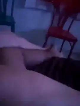 Malubrotudo online show from February 1, 2026, 11:25 pm