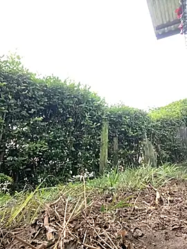 Snapshot of Jestebanano chatting on November 29, 2025, 3:12 pm Jestebanano online show from November 29, 2025, 3:12 pm