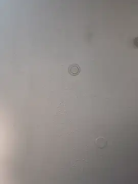 geilerschwanz64 online show from February 17, 2025, 9:21 pm