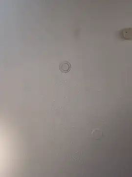 geilerschwanz64 online show from February 19, 2025, 7:05 pm