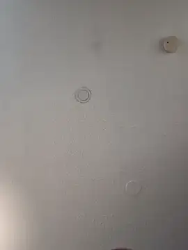 geilerschwanz64 online show from February 12, 2025, 8:18 pm