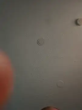 geilerschwanz64 online show from March 3, 2025, 5:52 pm