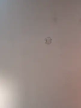 geilerschwanz64 online show from March 10, 2025, 8:28 am