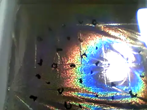 camiliaskye online show from December 13, 2024, 4:22 am