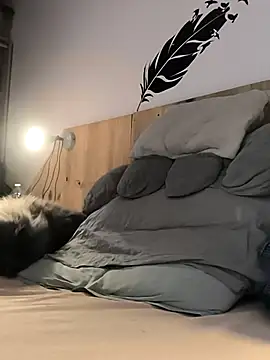 bogland33 online show from January 9, 2026, 7:43 pm