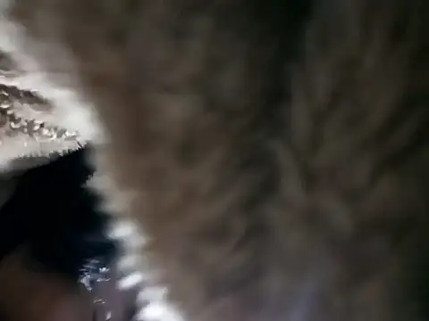 Snapshot of Elvishcassie_ chatting on January 6, 2026, 10:14 pm Elvishcassie online show from January 6, 2026, 10:14 pm