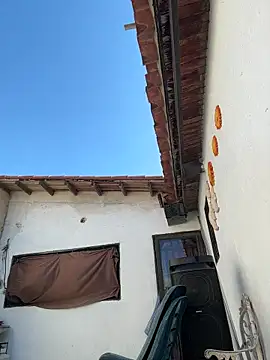 Snapshot of Leo_bunny_hot chatting on November 13, 2025, 7:18 pm Leo bunny hot online show from November 13, 2025, 7:18 pm