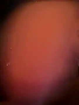 Mia MilesXXX online show from December 13, 2025, 10:16 pm