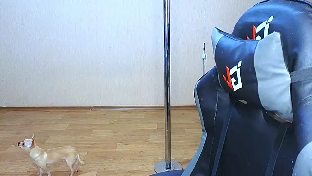 Snapshot of doll_barbieee chatting on March 9, 2025, 5:06 pm doll barbieee online show from March 9, 2025, 5:06 pm